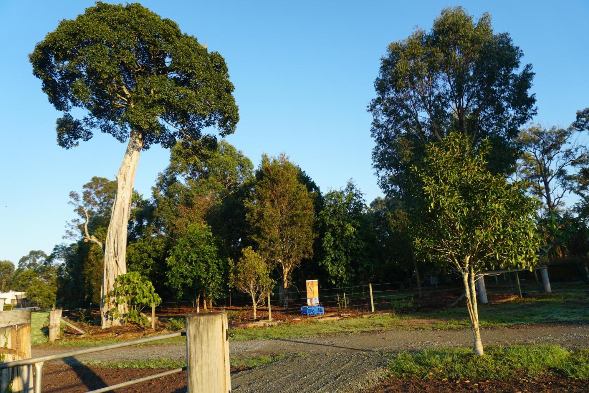 Narangba Motel Exterior photo
